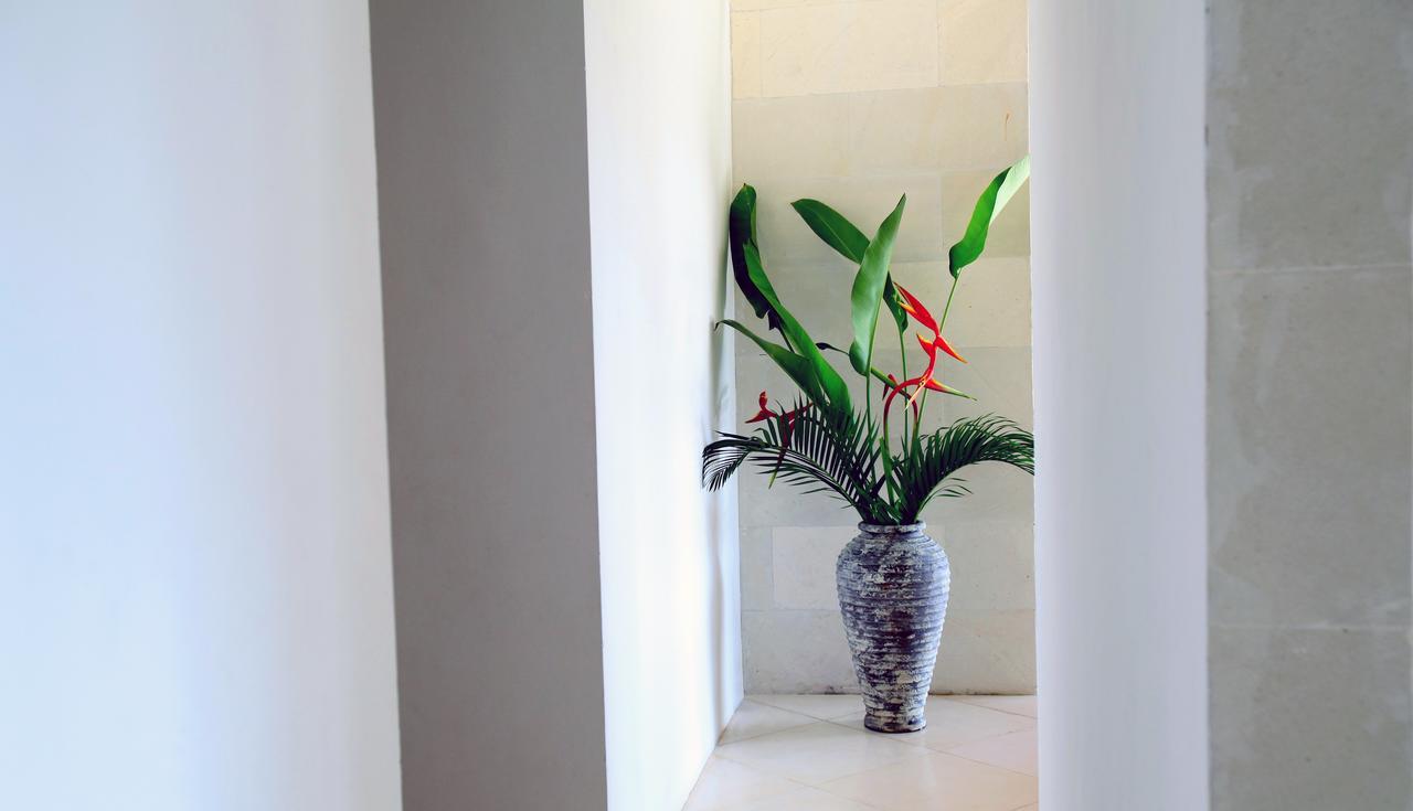 Jeda Villa Modern Stylish Luxury Villa 佩母得兰 外观 照片
